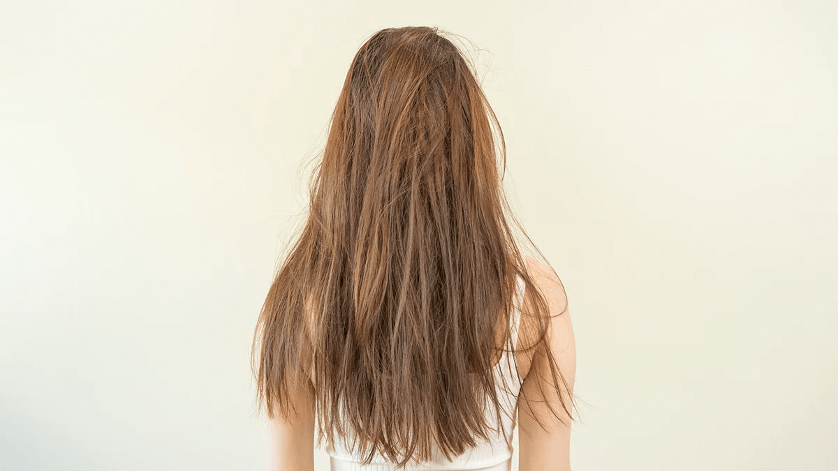 O que é frizz?